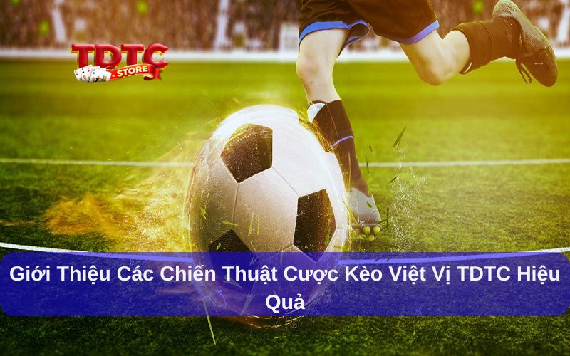 Chiến thuật cá cược kèo việt vị TDTC